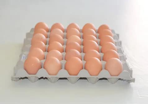 XL 700g free range eggs 30/tray
