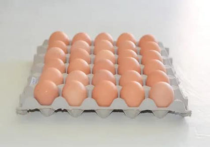 XL 700g free range eggs 30/tray